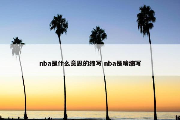 nba是什么意思的缩写 nba是啥缩写